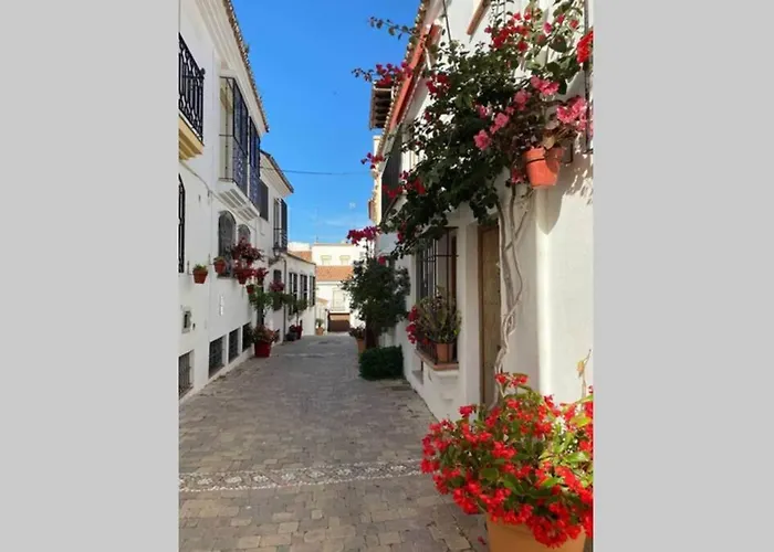 Apartment Seaview Seletur Estepona